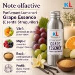 Parfumant Lumanari Grape Essence (Esenta Strugurilor) - imagine 2